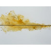 FORMA OCRE CON LÍNEA