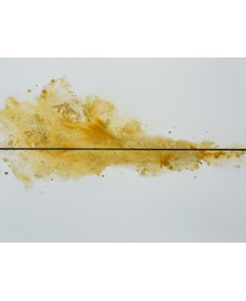 FORMA OCRE CON LÍNEA