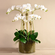 Artificial Orchid 