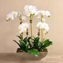 Artificial Orchid 