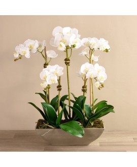 Artificial Orchid 