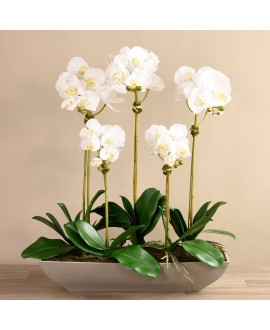 Artificial Orchid 