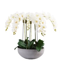 Artificial Orchid 