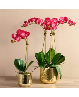 Artificial Orchid 