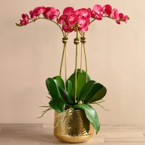 Artificial Orchid 