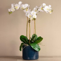 Artificial Orchid 