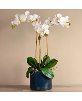 Artificial Orchid 