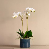 Artificial Orchid 