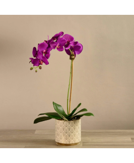 Artificial Orchid 
