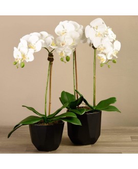 Artificial Orchid 