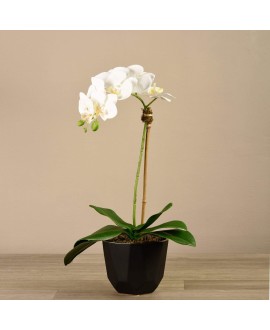 Artificial Orchid 