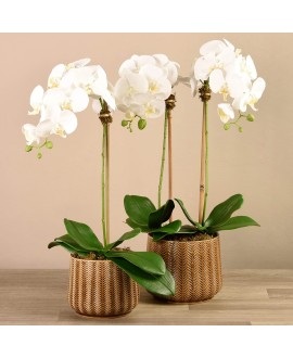 Artificial Orchid 