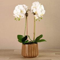 Artificial Orchid 