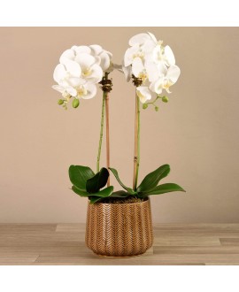 Artificial Orchid 