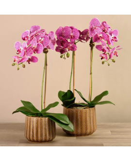 Artificial Orchid 