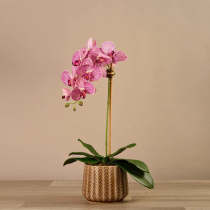 Artificial Orchid 