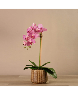 Artificial Orchid 