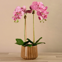 Artificial Orchid 