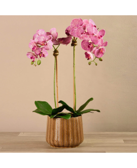 Artificial Orchid 