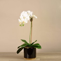 Artificial Orchid 