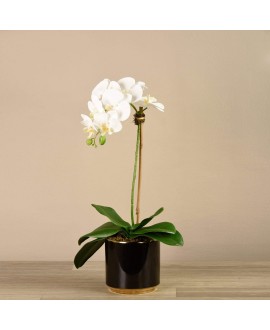 Artificial Orchid 