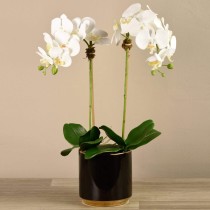 Artificial Orchid 