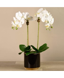 Artificial Orchid 