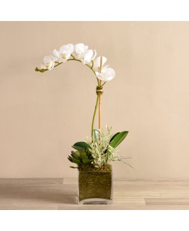 Artificial Orchid 