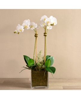Artificial Orchid 