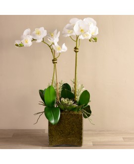Artificial Orchid 