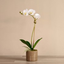 Artificial Orchid