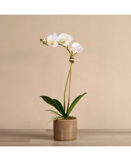 Artificial Orchid