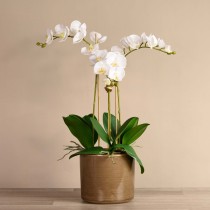 Artificial Orchid