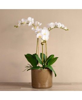 Artificial Orchid