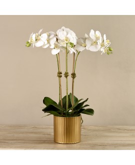 Artificial Orchid