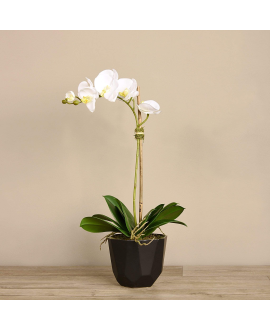 Artificial Orchid