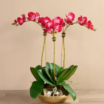 Artificial Orchid