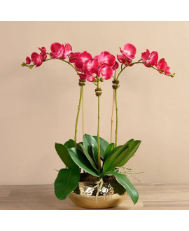 Artificial Orchid