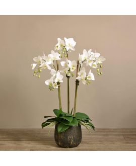  Artificial Orchid 