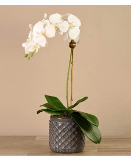 Artificial Orchid 