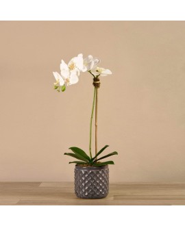 Artificial Orchid 