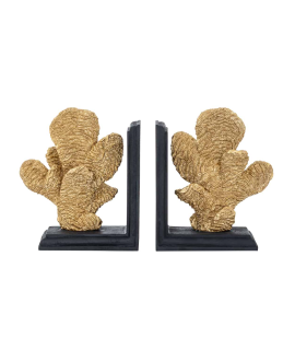 Books standard Donei 