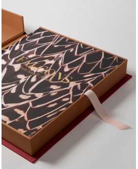 Falcons of Saudi Arabia