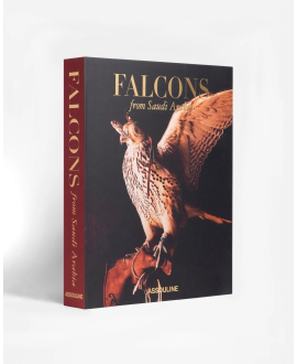 Falcons of Saudi Arabia