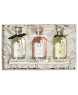 Collection Diffusers 100ml