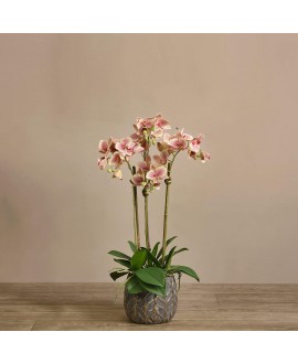 Artificial Orchid 