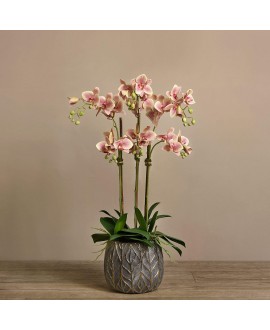 Artificial Orchid 