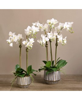 Artificial Orchid 