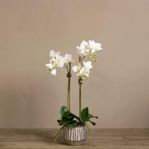 Artificial Orchid 
