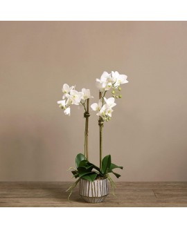 Artificial Orchid 
